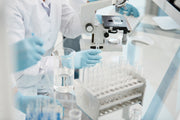 Antibodies