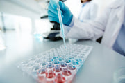 ELISA Kit