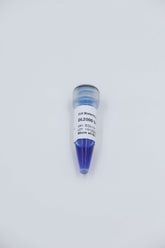 DL5000 DNA Marker 100bp-5000bp