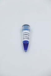 DL15000 DNA Marker 250bp-15000bp