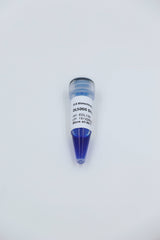 DL15000 DNA Marker 250bp-15000bp