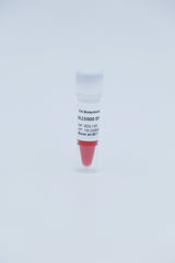 100 bp  DNA Ladder                        100bp-3000bp