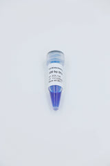 100 bp  DNA Ladder                        100bp-3000bp