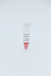 DNA Marker I 100bp-600bp