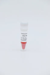 DNA Marker II 100bp-1200bp