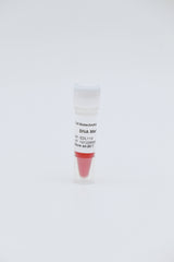 DNA Marker III 200bp-3000bp