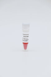 DNA Marker V 250bp-5500bp