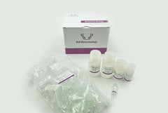 Plant/fungal DNA extraction kit