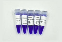 EntiLink™ HotStart PCR MasterMix