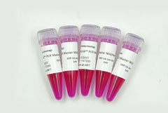 EntiLink™ PCR Master Mix(Red)