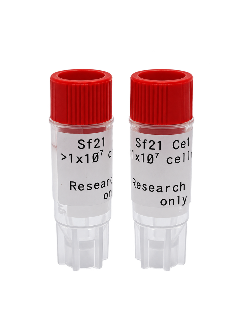 Sf21 Cells