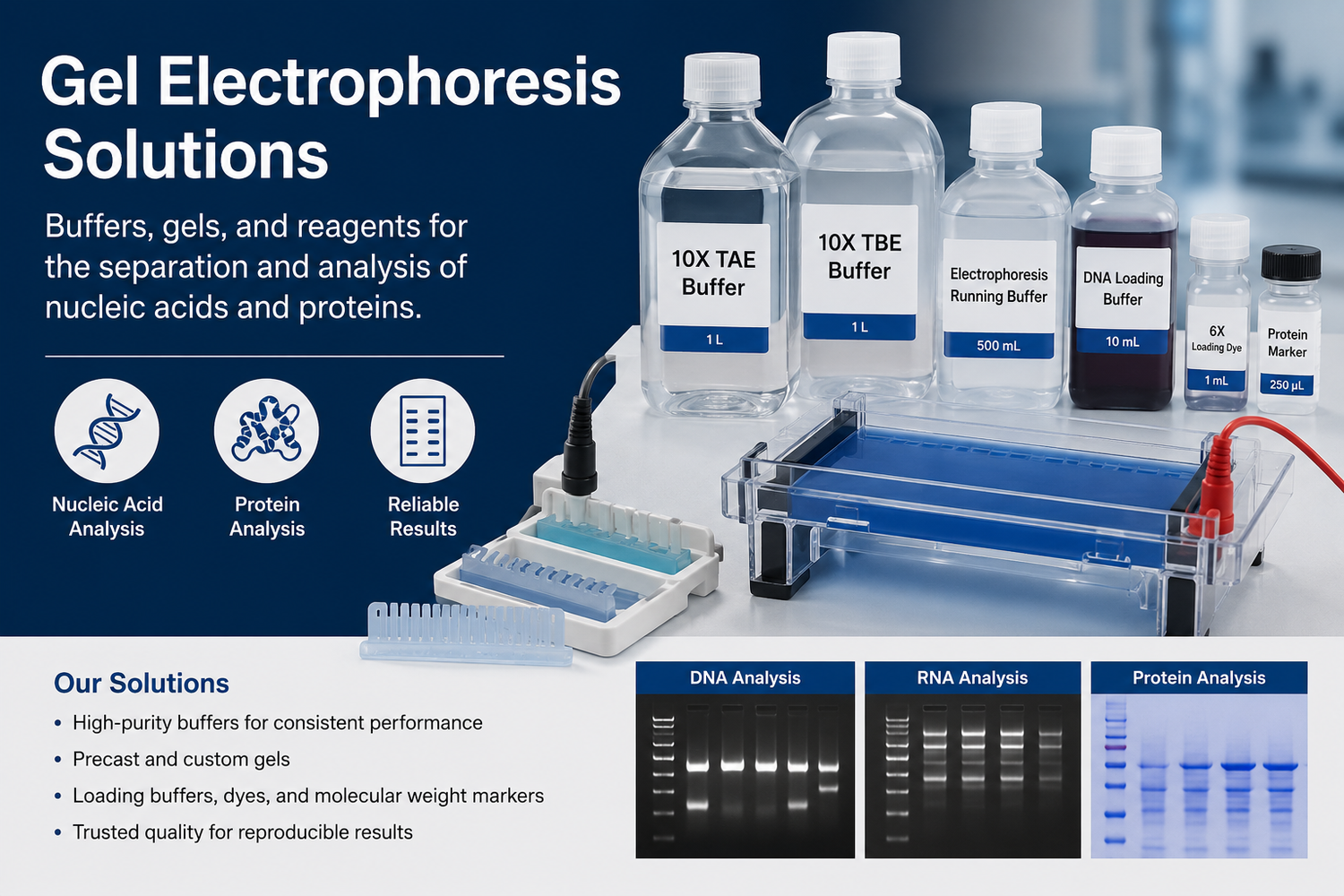 Gel Electrophoresis Solutions Buffers, gels, and reagents for the separation and analysis of nucleic acids and proteins.