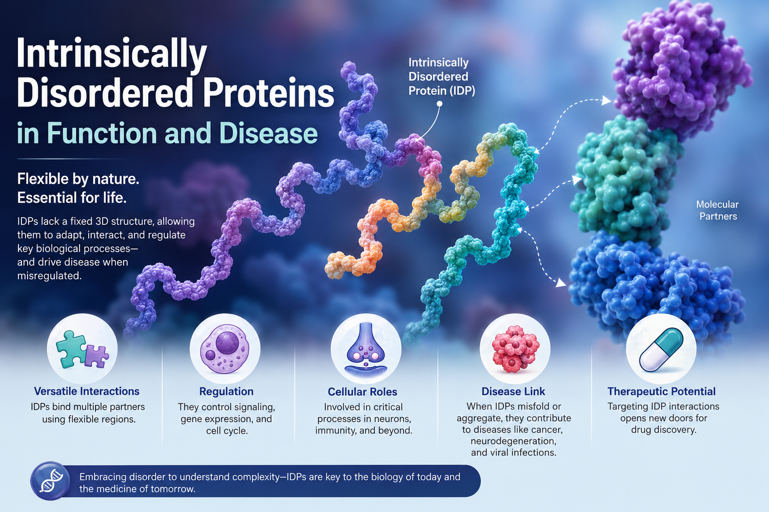 Intrinsically Disordered Proteins