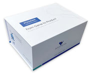 Recombinant BDBV Envelope glycoprotein, N-His