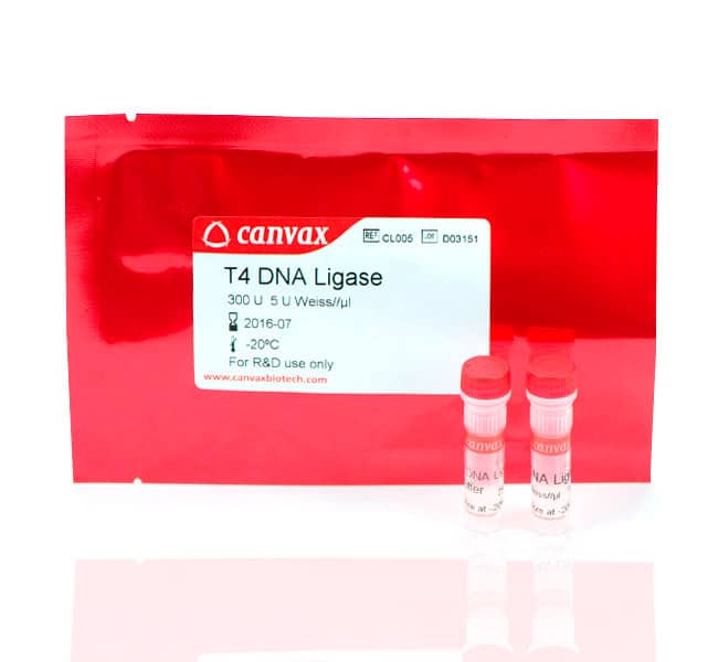 T4 DNA Ligase (5U Weiss/µL)