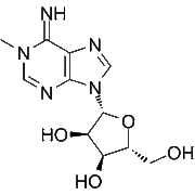 1-Methyladenosine
