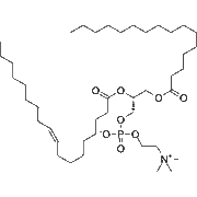 1-Palmitoyl-2-oleoyl-sn-glycero-3-PC