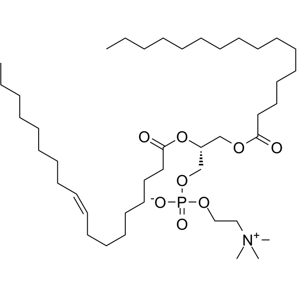 1-Palmitoyl-2-oleoyl-sn-glycero-3-PC