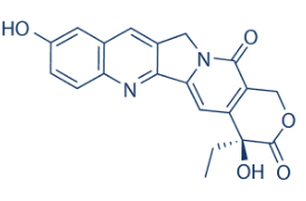 10-Hydroxycamptothecin