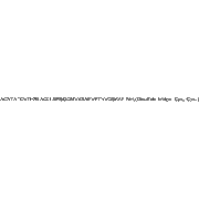 β-CGRP, human
