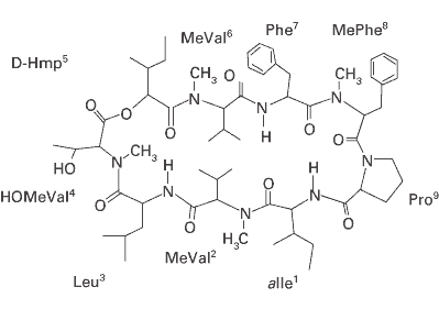 Aureobasidin A for yeast two-hybrid studies - Protein research - Takara Bio
