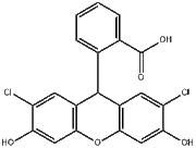 2',7'-dichlorodihydrofluorescein