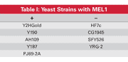 X-alpha-Gal for yeast two-hybrid studies - Protein research - Takara Bio