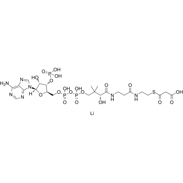 Malonyl CoA lithium