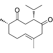 Neocurdione