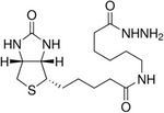 (+)-Biotinamidohexanoic acid hydrazide