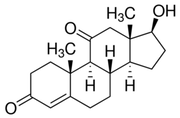 11-Ketotestosterone