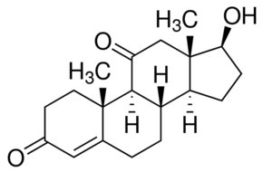 11-Ketotestosterone
