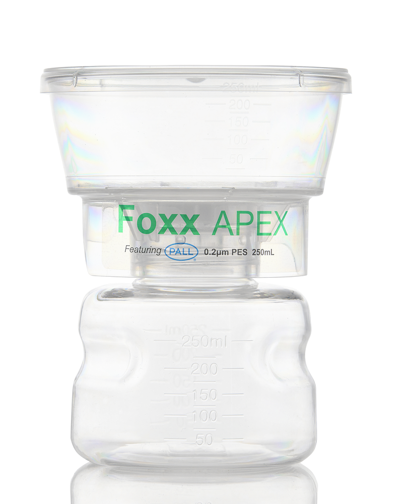 12/CS - 1101-APEX