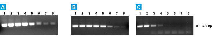 SMARTScribe Reverse Transcriptase - mRNA and cDNA synthesis - Takara Bio