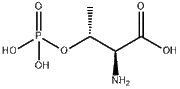 O-Phospho-L-threonine