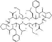 Gramicidin S