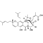 10alpha-Hydroxyepigambogic acid
