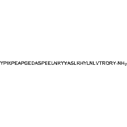 Peptide YY (PYY), human
