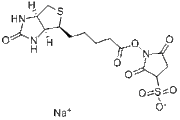 Sulfo-NHS-Biotin