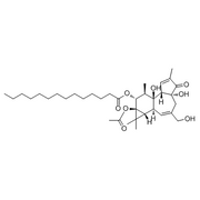 Phorbol 12-myristate 13-acetate