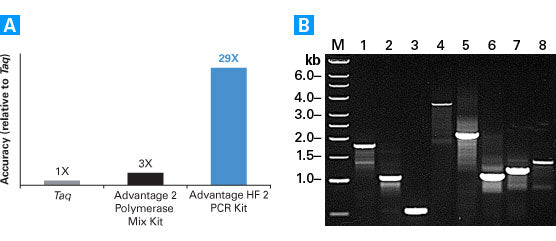 Advantage HF 2 PCR Kit - PCR - Takara Bio