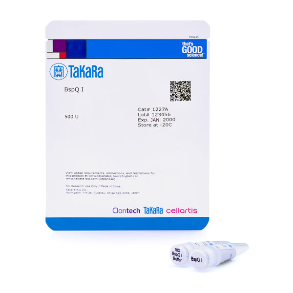 BspQ I - mRNA and cDNA synthesis - Takara Bio