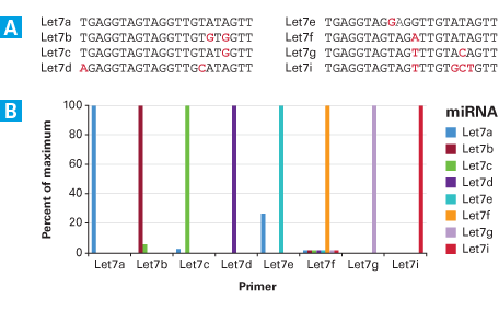 MicroRNA first-strand synthesis and miRNA quantitation kits - Gene function - Takara Bio
