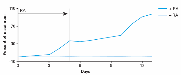 MicroRNA first-strand synthesis and miRNA quantitation kits - Gene function - Takara Bio