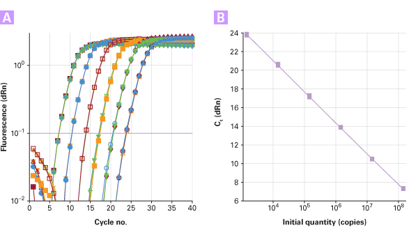Baculovirus titration kits - Protein research - Takara Bio