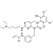 FIIN-1