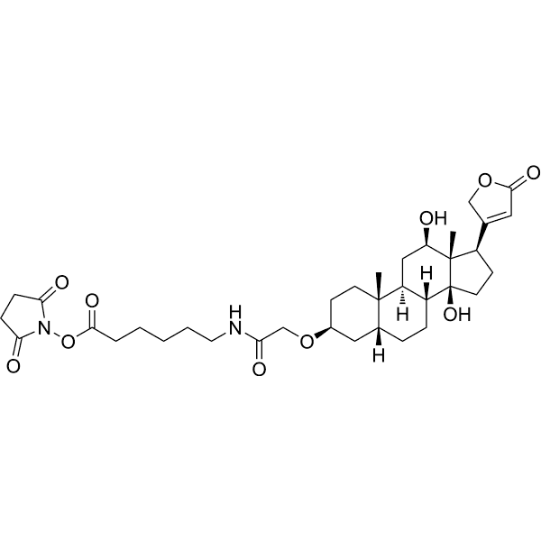 Digoxigenin NHS ester
