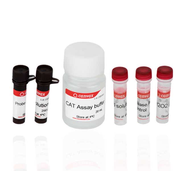Catalase Activity Assay Kit