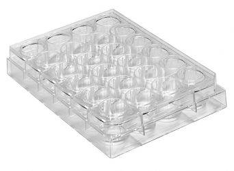 24-Well Plates Polystyrene