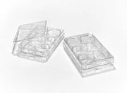 6 W MPLATE FB STER UNTRT